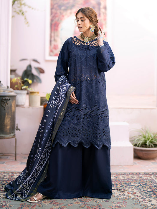 Mehru D3 - B | 3 PC LAWN